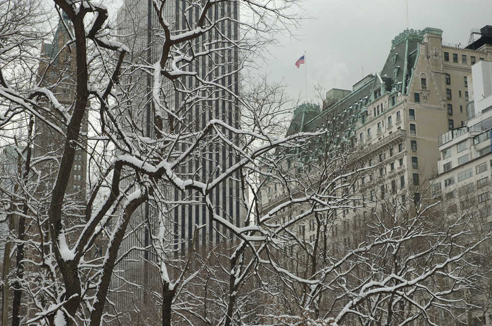 New York City Winter